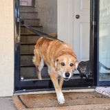 A tan dog walks through a screen door onto a welcome mat, with a grey cat visible inside.
