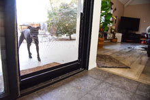 A dog stands outside a screen door, looking in.