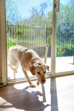 A light-colored Labrador dog is entering a patio through a screen door with a custom pet opening.