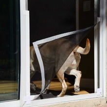 A dog walking through a magnetic screen door.