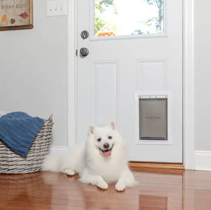 dog in front of petsafe extreme weather door