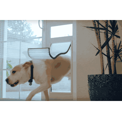 Armor flex online dog door