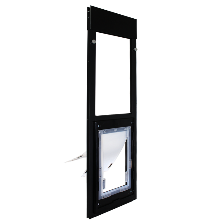 Dragon Double Flap Pet Door for Windows