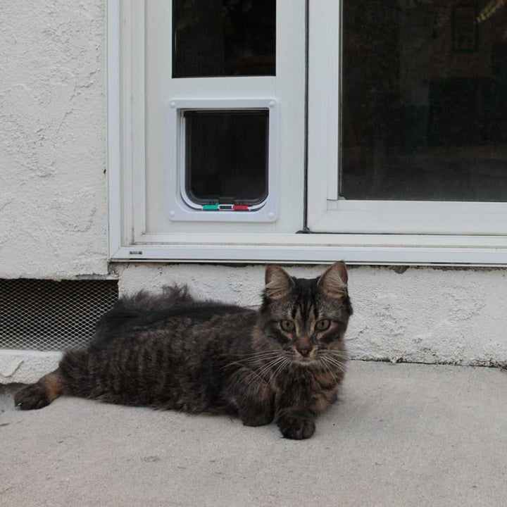 Whiskers & Windows Custom Cat Door For Sliding Glass Doors