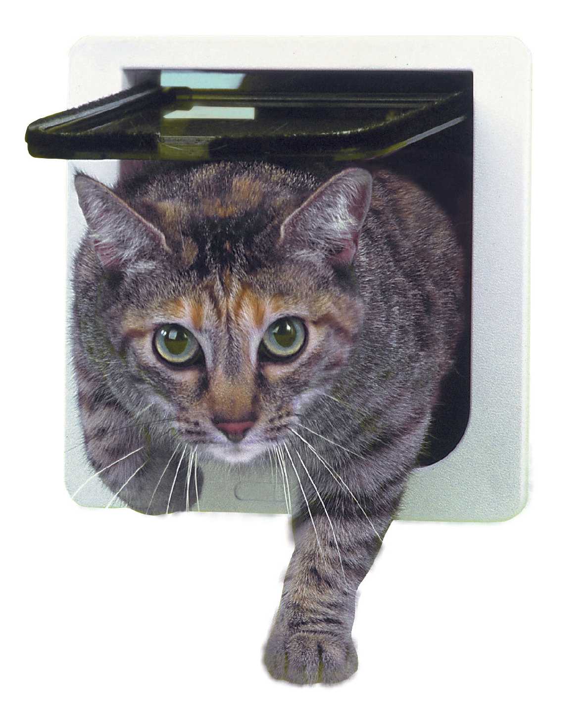 Ideal 4-Way Locking Cat Door: Unrivaled Pet Access Control