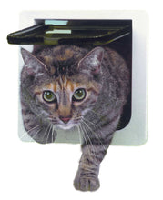 A cat emerges from a pet door.
