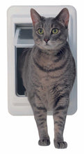 A gray tabby cat walks through a white pet door.