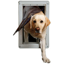 A Labrador Retriever walks through a dog door.