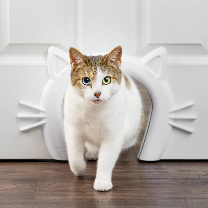 Pet doors for cats clearance