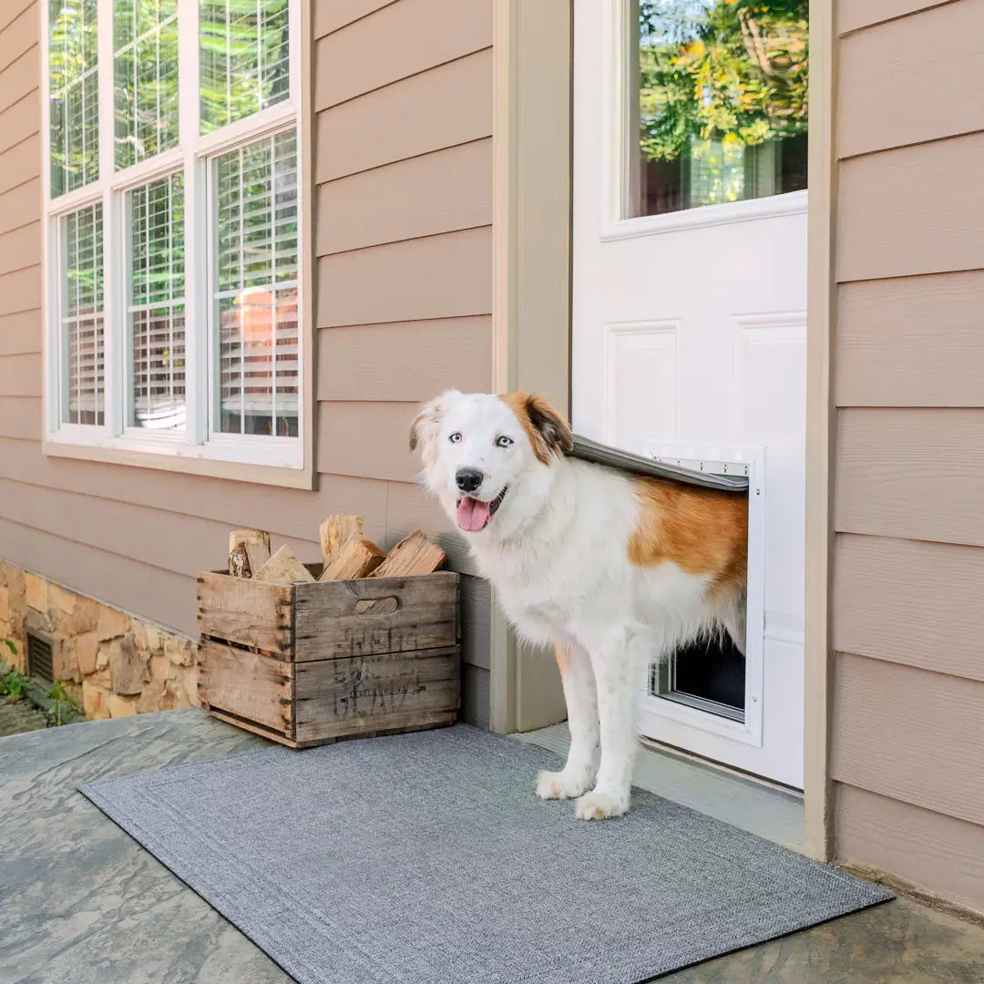 Extreme weather pet door sales
