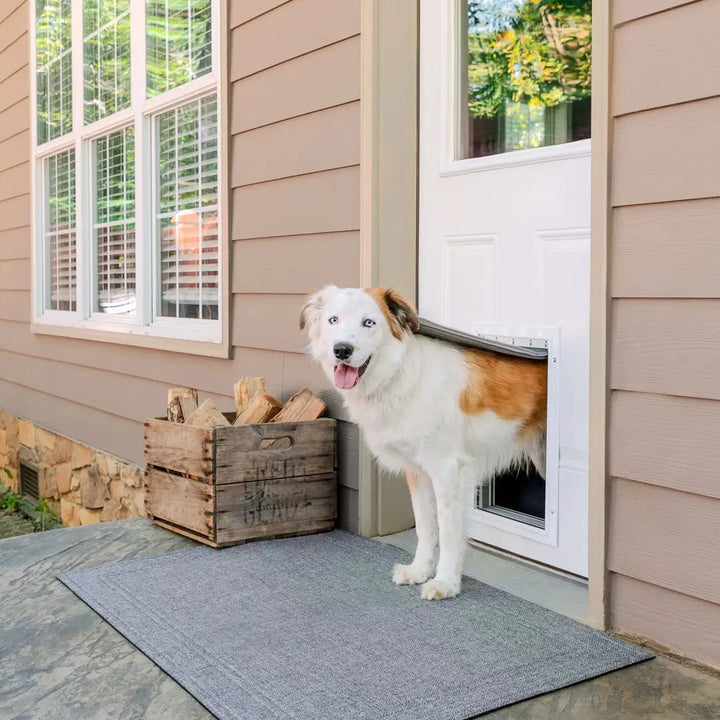 dog using petsafe extreme weather door