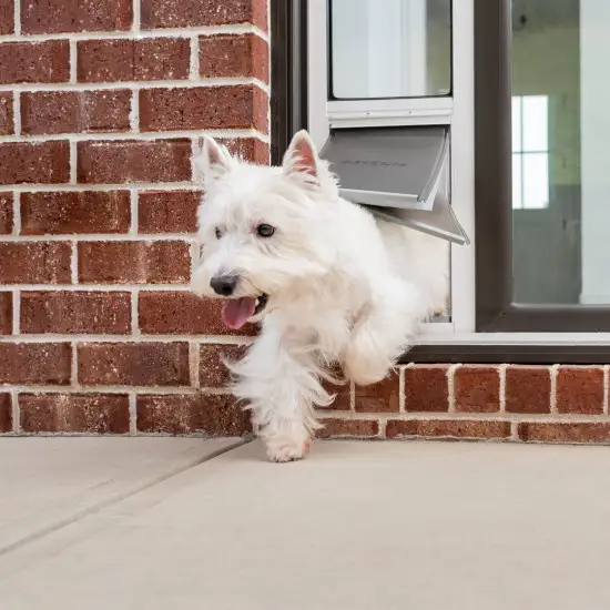 PetSafe Extreme Weather Sliding Glass Pet Door Ultimate Comfort