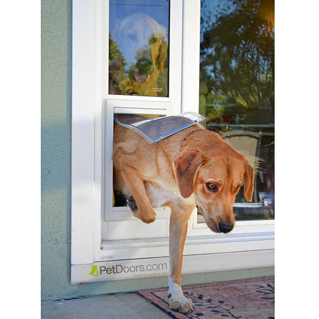 A dog partially goes through a pet door, with another dog looking through the window above.