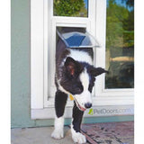A black and white dog is shown going through a dog door.