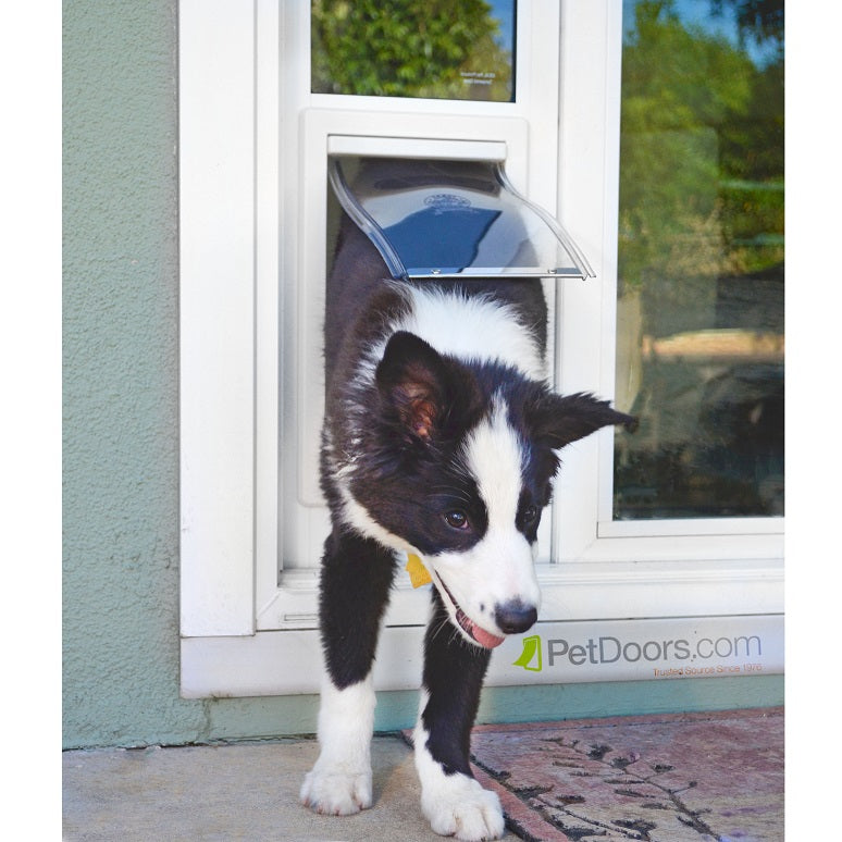 A black and white dog walks through a white pet door installed in a window.