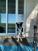 A black and white dog stands in a dog door on a porch.