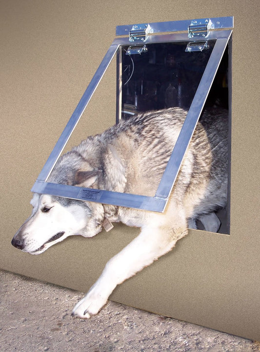 Giant dog flap hotsell