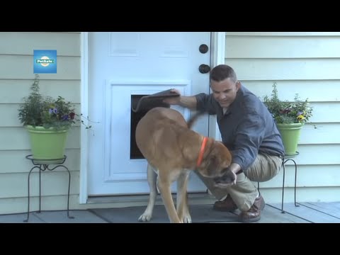 PetSafe Pet Door Insert for Panel Doors