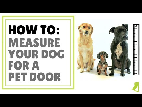 Dragon Additional or Replacement Flap