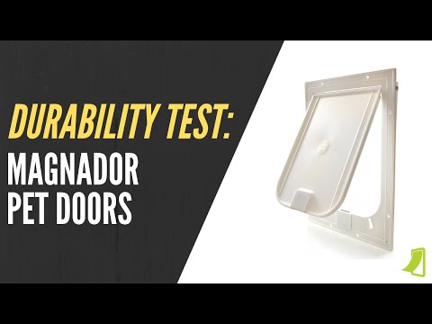 Magnador Dog Doors for Doors & Kennels