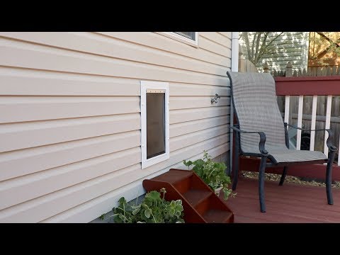 PetSafe Wall Entry Pet Door