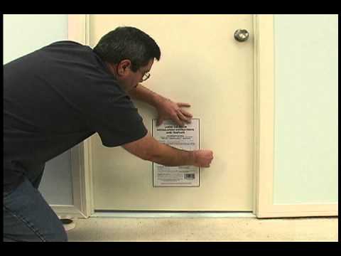 Ideal 4-Way Locking Cat Door