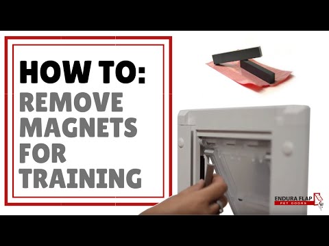 Endura Flap Cat Door for Doors