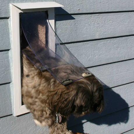 A dog exits a white-framed dog door with a clear flap on a blue-sided house.