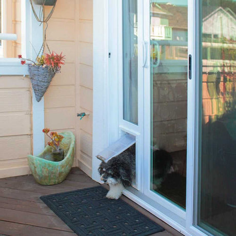 A small dog goes through a dog door installed in a sliding glass door.