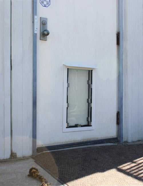 White door with a small dog door installed in it.