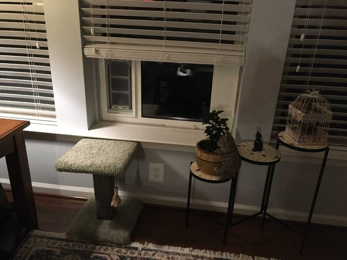 A window seat, tables with potted plants and a birdcage.