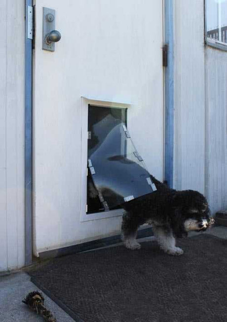 A dog is walking through a dog door on a white building.