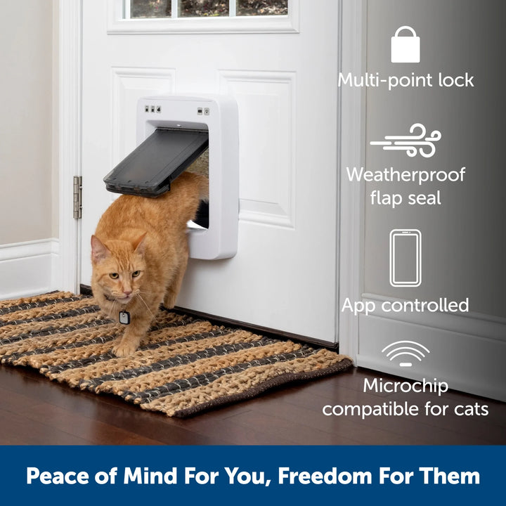 An orange tabby cat walks through a pet door installed in a white door, onto a striped rug.