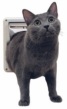 A gray cat is stepping through a cat flap.