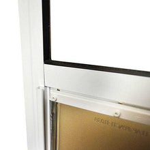 Close-up of a white-framed window.