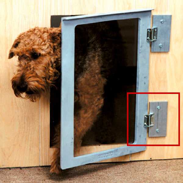 Mason Company Kennel Door Accessories: Improve Your Pet Door