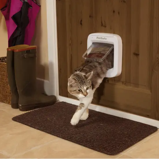A cat exiting a PetSafe cat flap in a wooden door.