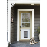 A dog lies in front of a door with a pet door insert.
