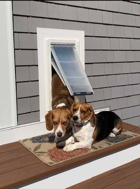 Endura flap dog doors for walls hotsell