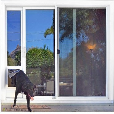 A black dog exits a sliding glass door fitted with a pet door.