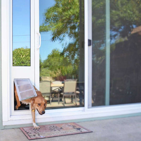 A brown dog partially exits through a pet door in a sliding glass door.