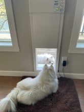 A white dog looks at another white dog visible through a Power Pet door.
