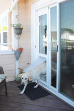 A yellow Labrador dog is stepping through a dog door insert in a sliding glass door onto a wooden deck.