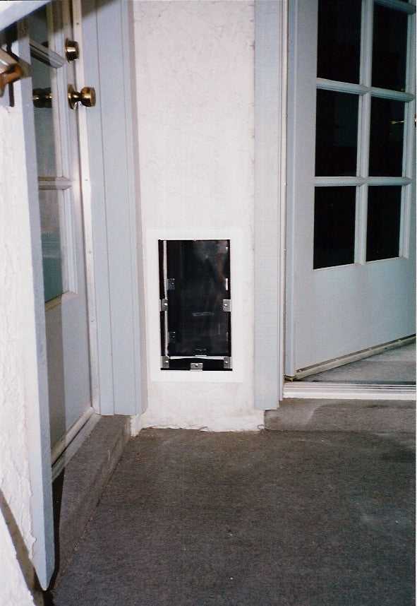 A dog door is installed in the wall next to an open door.