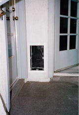 A dog door is installed in the wall next to an open door.