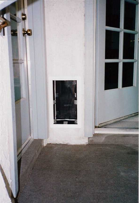 A dog door is installed in the wall next to an open door.