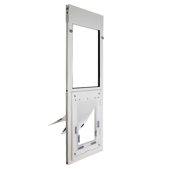 Dragon Double Flap Pet Door for Windows
