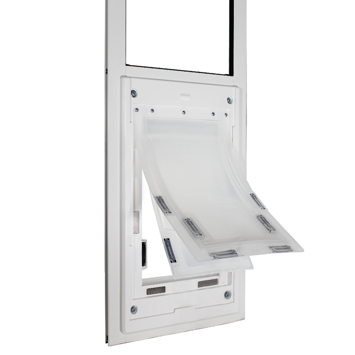 Dragon Double Flap Pet Door for Windows