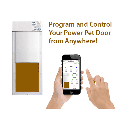 A smart pet door being controlled by a smartphone app.