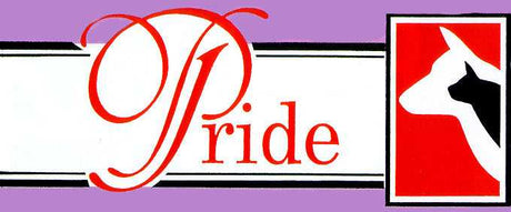 A graphic design with the word "Pride" in red and a white, black, and red image of a dog and cat.